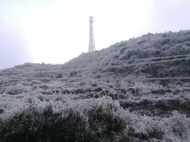 韶关铁塔多措并举抗冰灾:维护基站4419个,停电