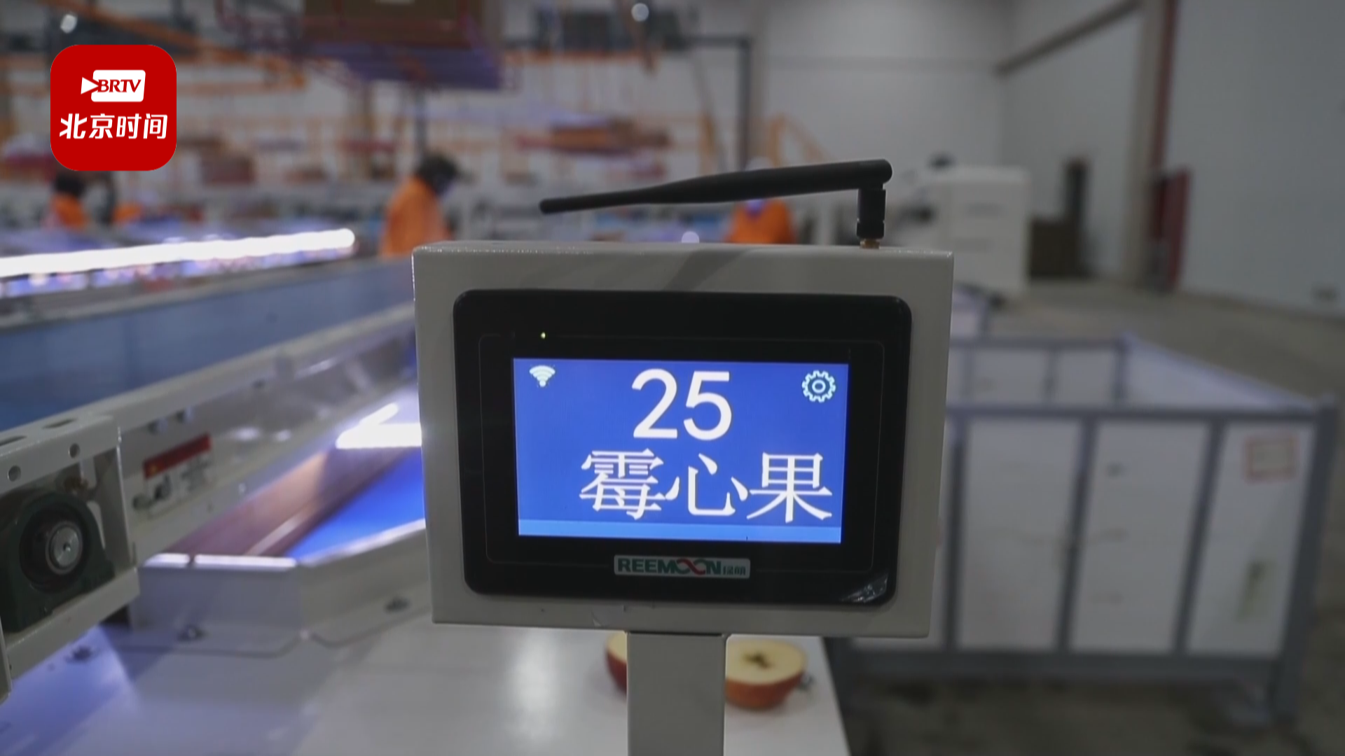 见过给苹果做“CT”的吗？