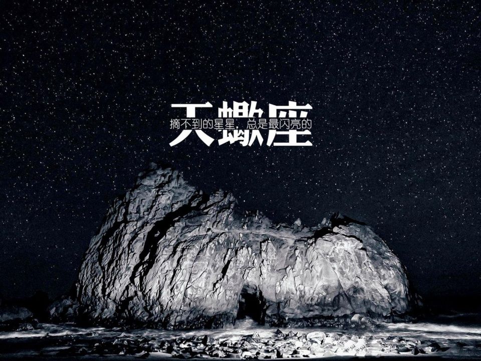 十二星座谁最适合做领导?狮子天蝎水瓶狭路相