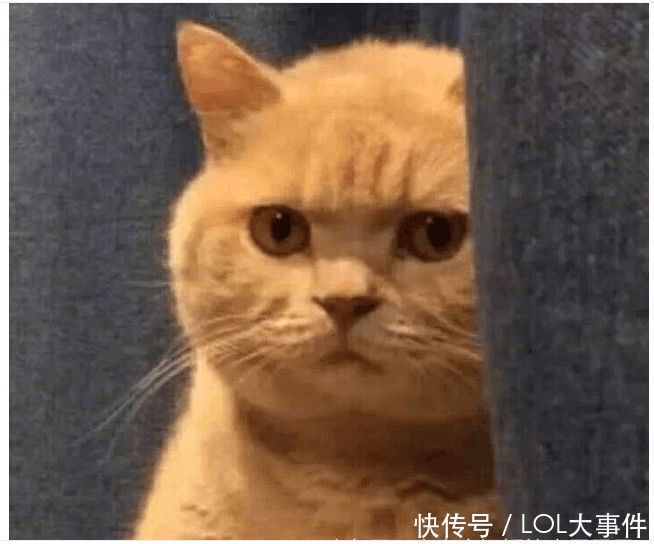 王者荣耀: 新版庄周变刺客 二技能伤害爆炸站撸