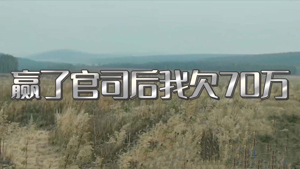 赢了官司后,为何我却欠了70万债务 赢了官司后,为何我却欠了70万债务