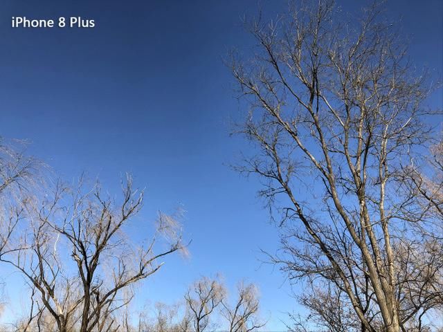 苹果A11芯片助力,iPhone 8吊打安卓旗舰!