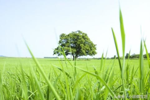 2018奋斗正能量励志心情说说,有哲理激励人的