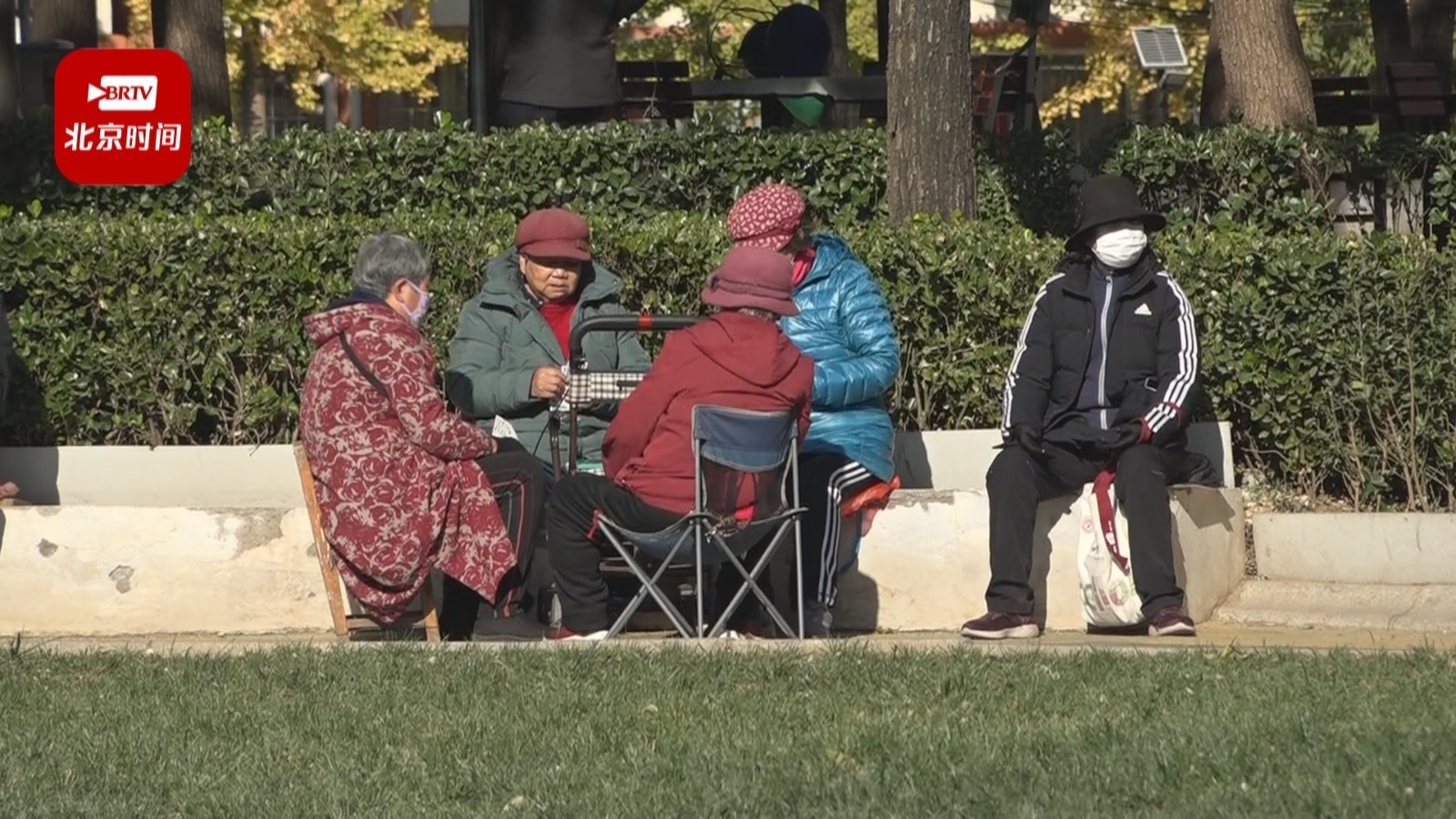 正视老年群体情感需求！老年人热衷“互联网追爱”是因为身边缺爱