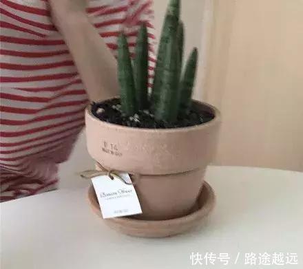 朋友圈背景图|几乎不主动找人聊天