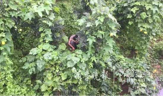 女子被困山中伤痕累累 被发现时仅穿内衣 女子被困山中伤痕累累 被发现时仅穿内衣