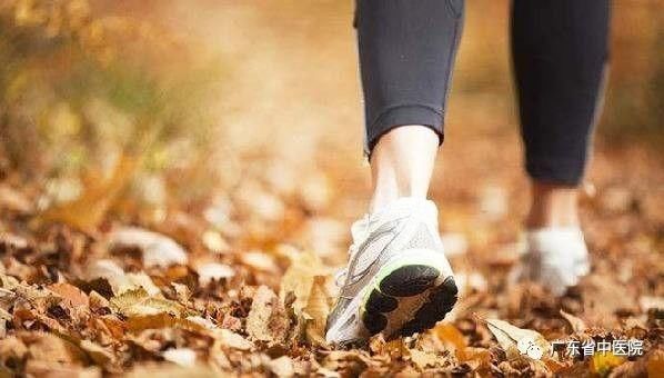 秋分寒凉渐重,凉燥伤人!秋分养生要则,收起来吧