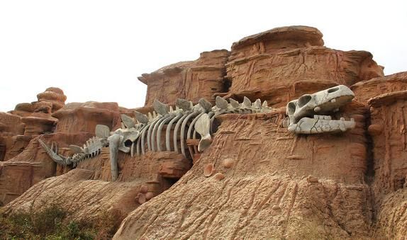 最古老的长龙化石,在德国发现,化石年龄约2亿年