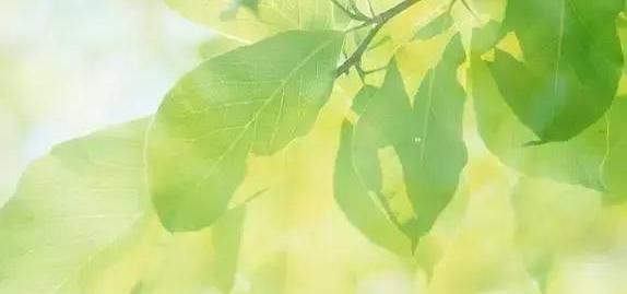 夏天是告别阳虚的最佳时间