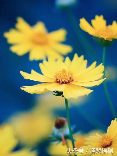 夜色温润了万物成长 摘抄