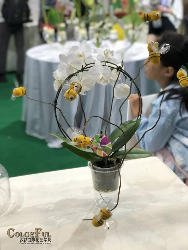 2018昆明零交会,除了花花世界,还有哪些看点?