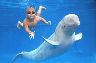 足球分析:塞维利亚vs维戈塞尔塔一维戈塞尔塔