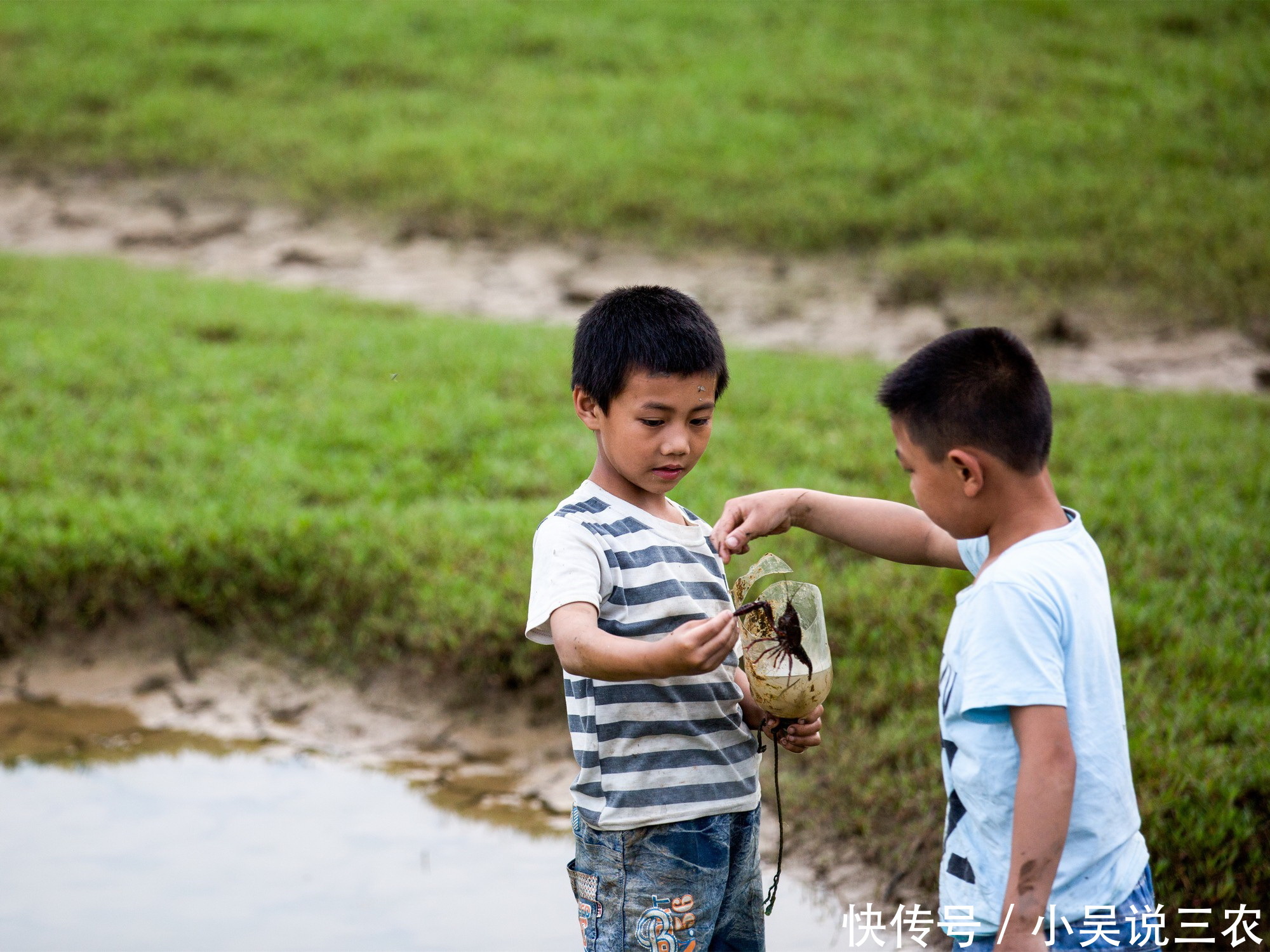 农村俗语:扒一扒那些年农村脍炙人口老俗话是
