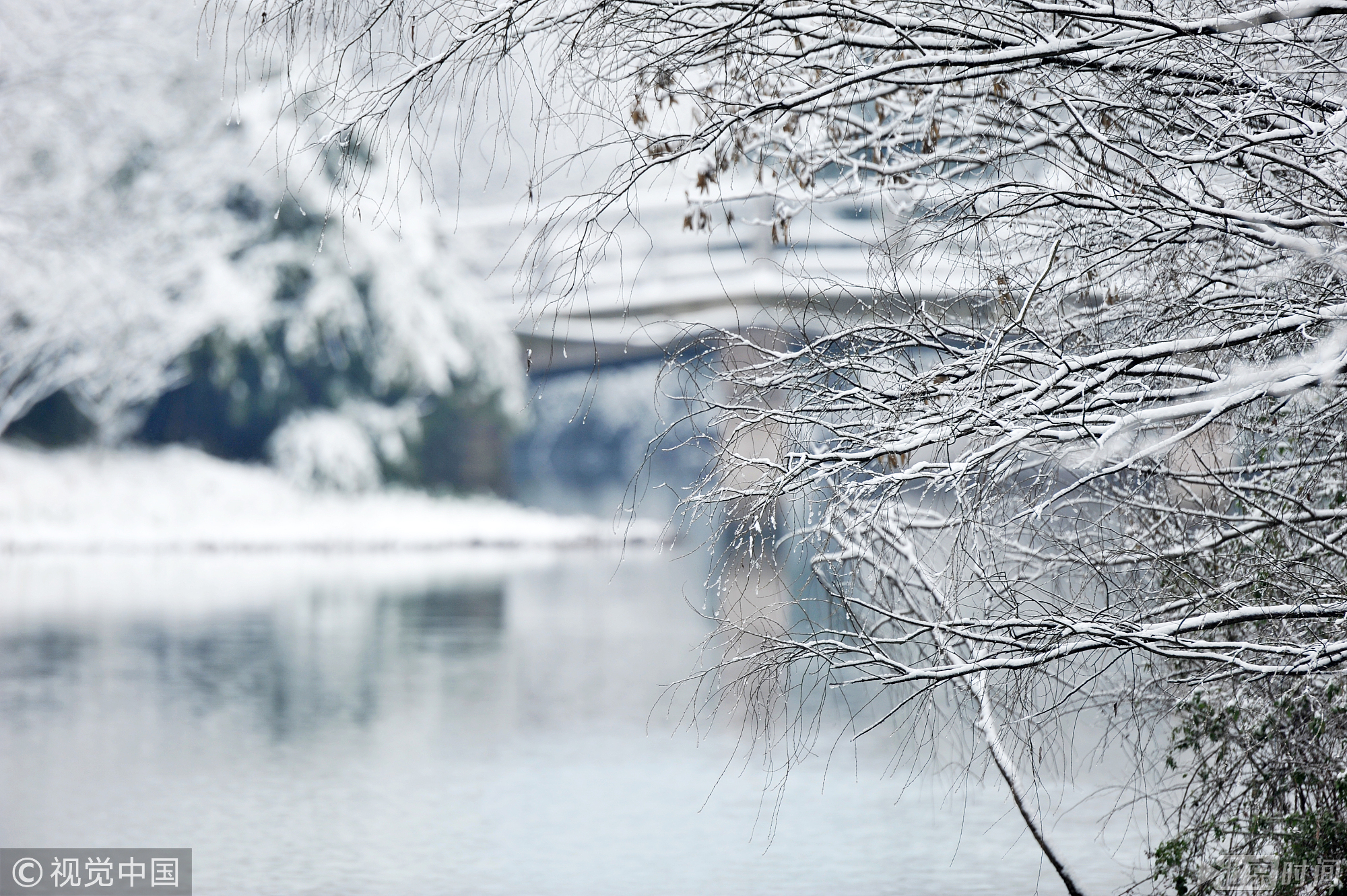 雪后的西湖显得格外迷人，游人徜徉其中，仿佛置身水墨画之中，别有一番风味。雪后的杭州，西湖十景“断桥残雪”也得以再现。