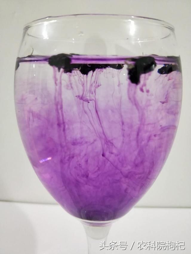 黑枸杞一次泡几颗,黑枸杞如何泡水喝?