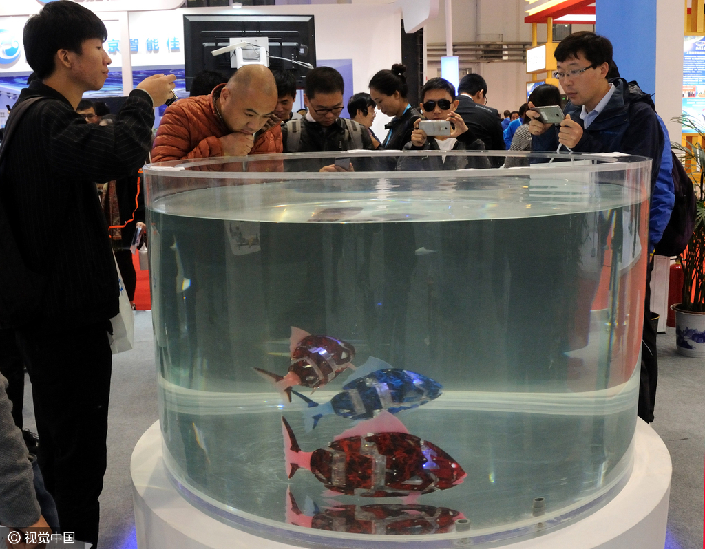 吸引了不少人驻足观看拍照。