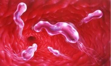 想老胃病拖成癌,这两个恶习赶紧改掉!-北京时间