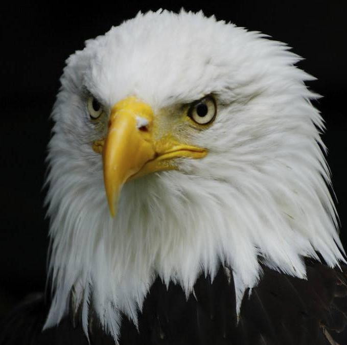 西安交大工程管理硕士深圳2018年会圆满举行