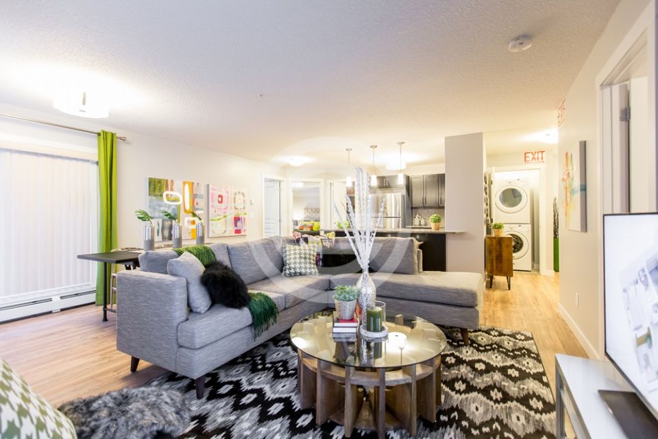 加拿大房贷政策紧缩 阿尔伯塔省首府房价不降