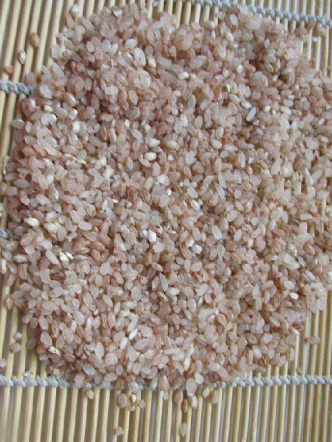 红粳米做出的米饭有多好吃 香喷喷还带着微微的甜_图1-4