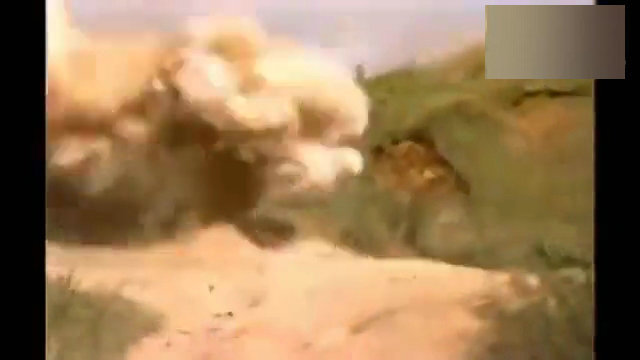 图为日媒拍摄下的画面