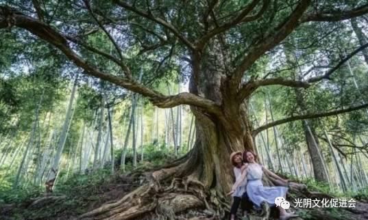 游上饶|乡约广丰,当一回乡村旅游星探员!