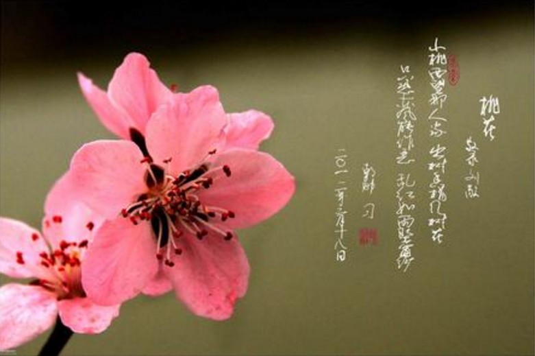 读睡古诗词欣赏 寒翠蜷跔万树僵,愁云遮日百榛