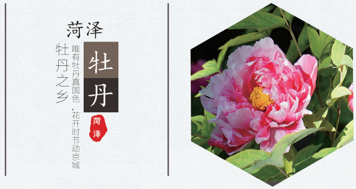 国际旅游博览会专刊之《牡丹之都 好汉之乡--山