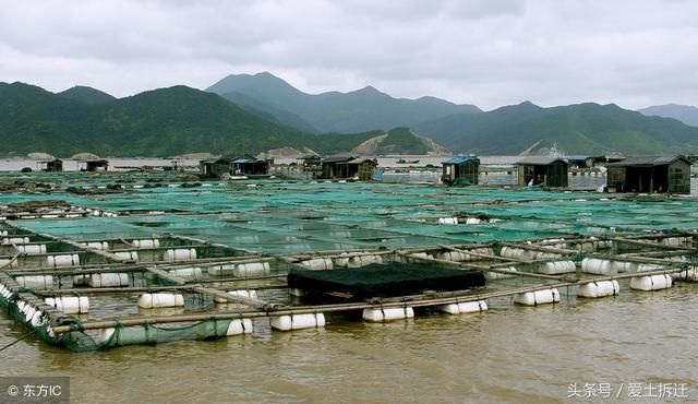 爱土拆迁律师团介入广西大型养殖场拆迁案件