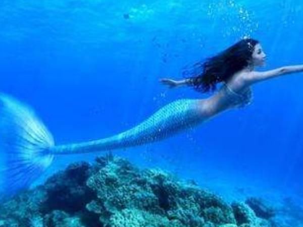 心理测试:3条美人鱼,哪条最丑,测你会不会嫁给