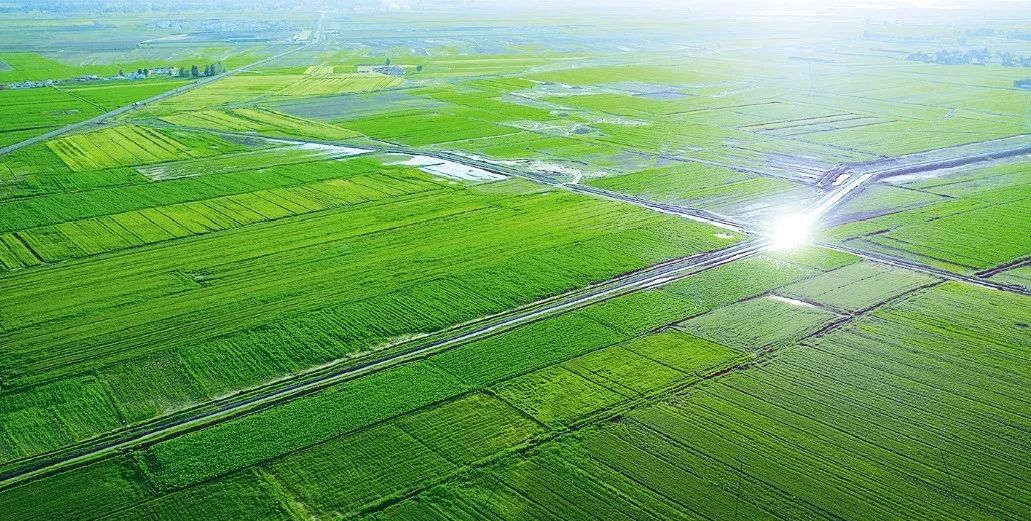 "塞外小岗"——内蒙古达拉特旗,托克托县农村改革记事