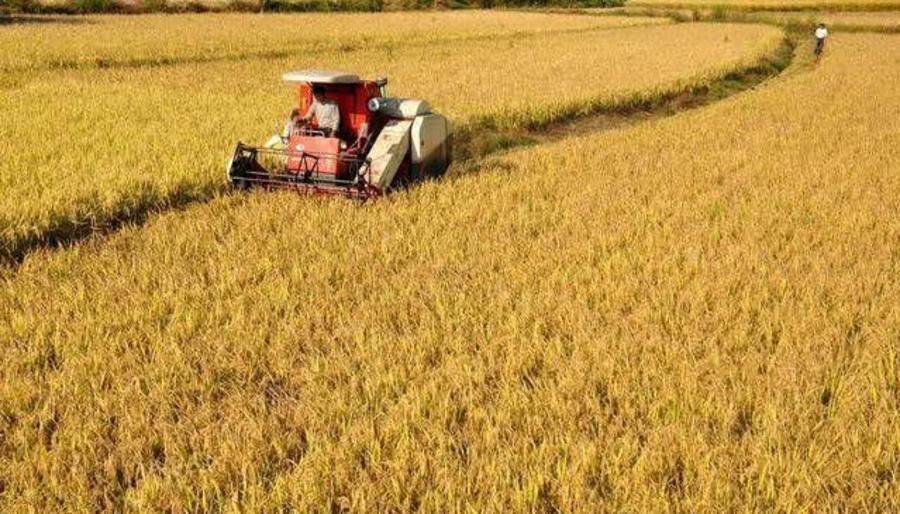 美国粮食出口额比沙特石油还多!美元霸权难以