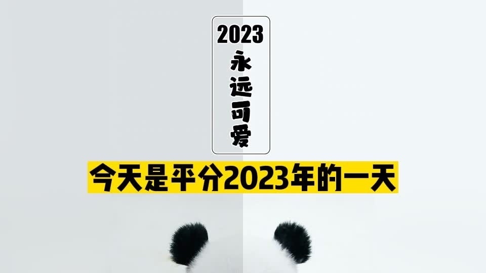 今天是平分2023年的一天