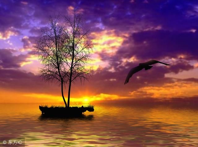 励志成熟走心的句子,句句精辟,建议收藏!