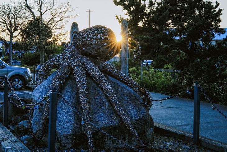 入门也强悍 用佳能EOS 1500D\/3000D拍鲸鱼是