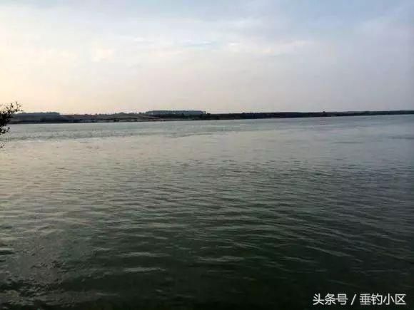 它是水域里最好钓的鱼种,也是一道美味的家常