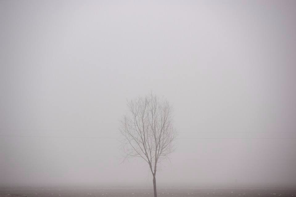 面对雾霾,我们应该怎么办?