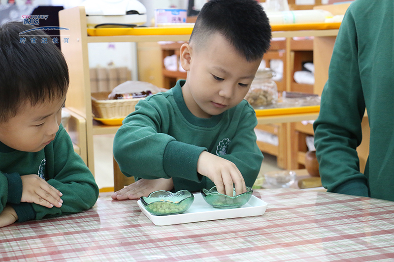 菏泽蒙氏幼儿园加盟,蒙氏教育知识问答