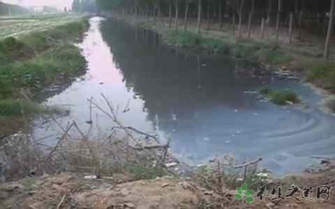 南通河流变牛奶河 水体污染的危害有哪些