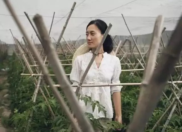 顺义区农村实用人才巡礼之三:石嫣