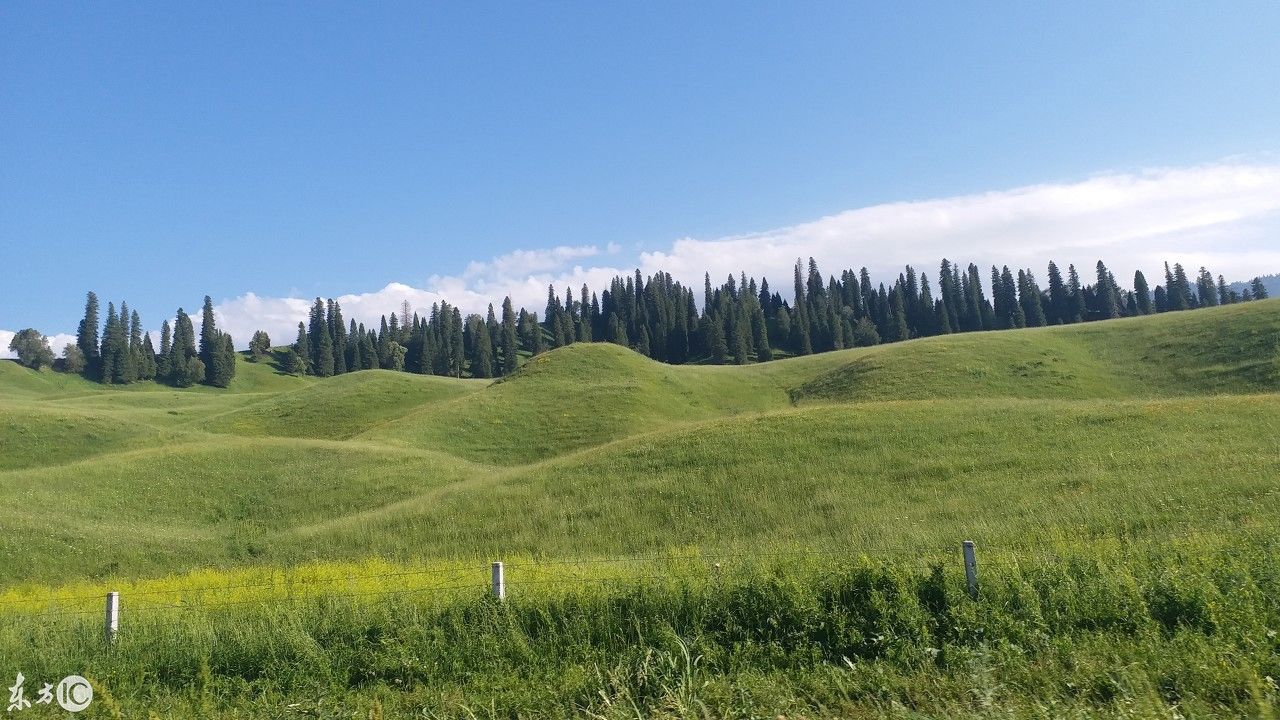 早安开学第一课,致家长 、老师和孩子们共勉!