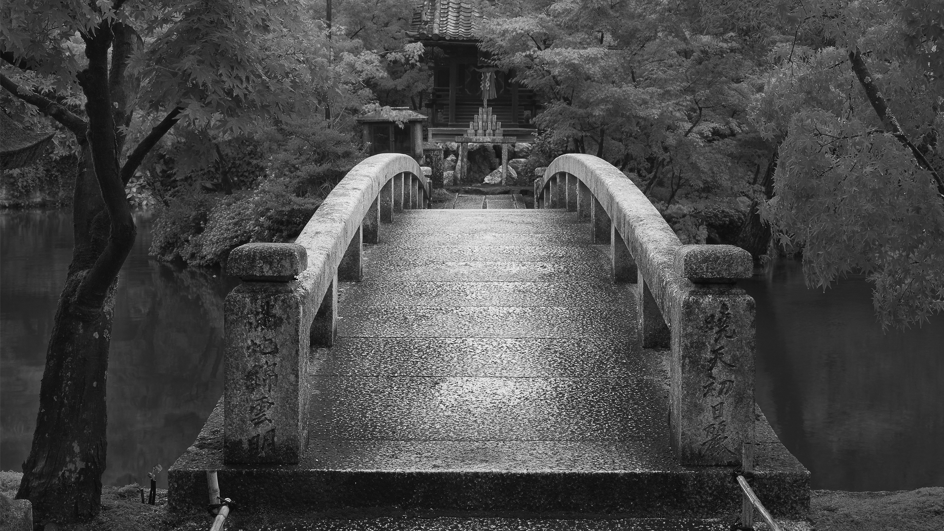 黑白风景系列之三