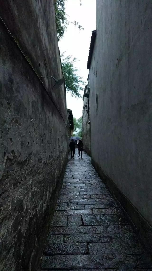 文艺青年最喜欢的几个手机APP,我帮你找全了