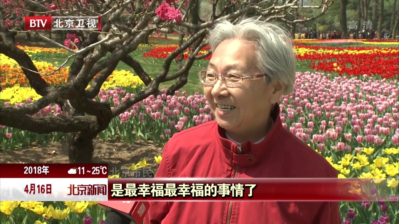 40万株郁金香盛放北京植物园