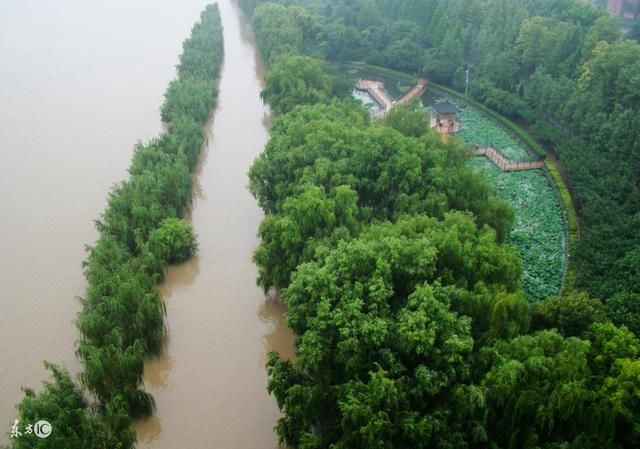 此招一出,在职教师课外有偿补课立马绝迹