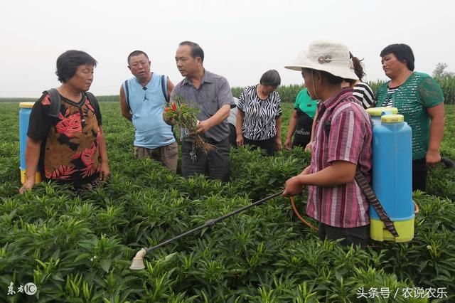 合作社新规出台了!2018年开始,国家重点扶持5