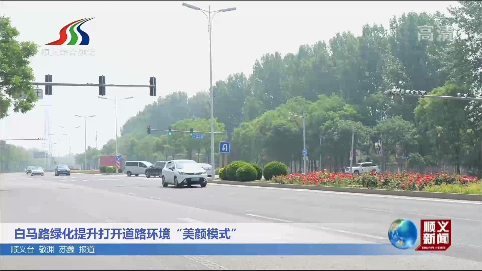 白马路绿化提升打开道路环境“美颜模式”