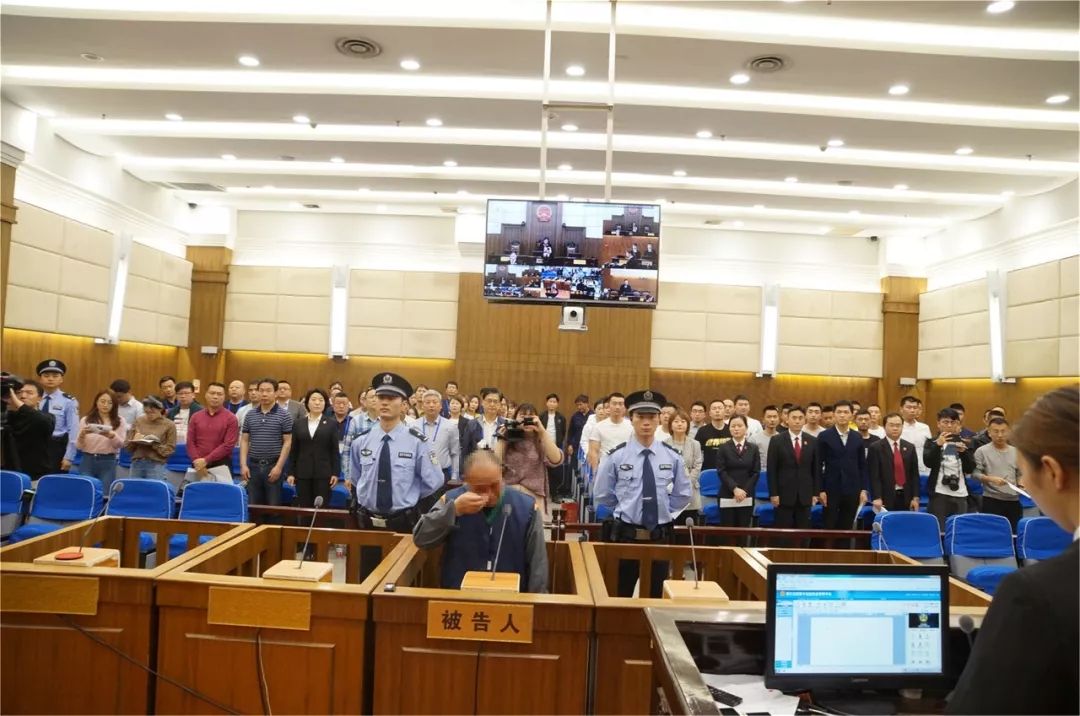 未礼让斑马线致人死亡 义乌法院网上直播两起