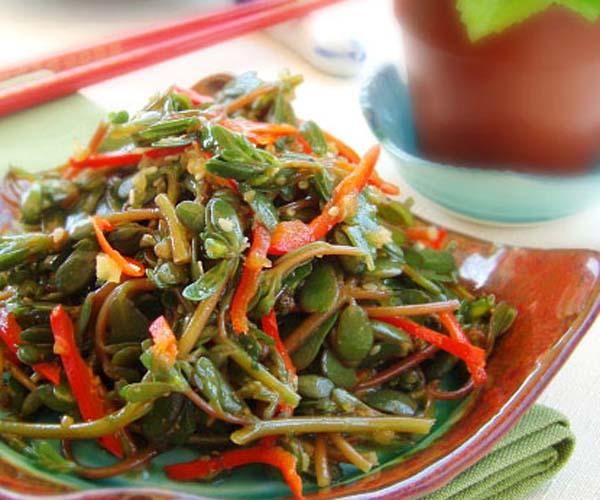 救命的马齿苋,很多农村俗称(麻子菜)90%人不知