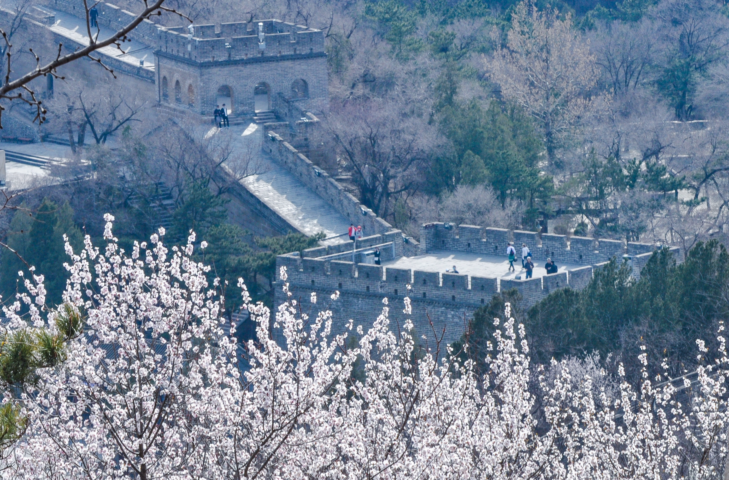 八达岭长城照片壁纸图片